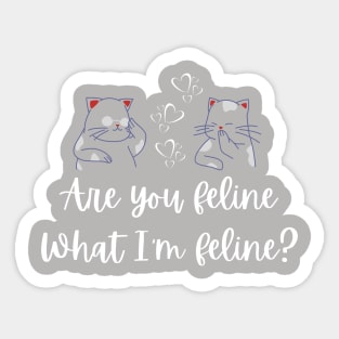 Are you feline what I'm feline? Sticker